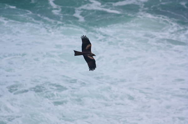stonehage fleming insight IWD 2026: Two minutes with Adventurer, Speaker and Entrepreneur, Peggy Bouchet